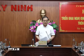 Phó Chủ tịch UBND tỉnh Tây Ninh Nguyễn Hồng Thanh yêu cầu các đơn vị, địa phương triển khai Nghị định 153 trên địa bàn đồng bộ, thống nhất. (Ảnh: Bùi Giang /TTXVN)