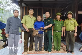 Người dân tự nguyện giao nộp cá thể khỉ đuôi lợn nhóm IIB cho các lực lượng chức năng. (Ảnh: TTXVN phát)