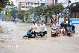 Triều cường gây ngập sâu trên đường Cách Mạng Tháng Tám, phường Cái Khế (Cần Thơ) khiến việc di chuyển của người dân rất khó khăn. (Ảnh: TTXVN phát)