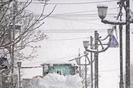 Tuyết rơi kỷ lục tại Hokkaido 