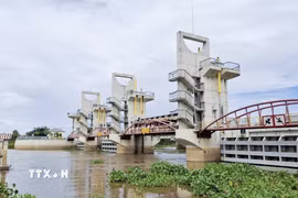 Cống Trà Sư (phường Thới Sơn, tỉnh An Giang) có vài trò điều tiết nguồn nước, kiểm soát lũ, bảo vệ sản xuất vùng Tứ giác Long Xuyên. (Ảnh: Thanh Sang/TTXVN)