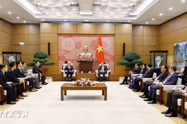 Chủ tịch Quốc hội Trần Thanh Mẫn tiếp Đoàn Hội Hữu nghị Hàn Quốc-Việt Nam do ông Lee Shin Jae, Chủ tịch Công ty Dệt may Hansoll, Chủ tịch Hội Hữu nghị Hàn Quốc-Việt Nam làm trưởng đoàn. (Ảnh: Doãn Tấn/TTXVN)