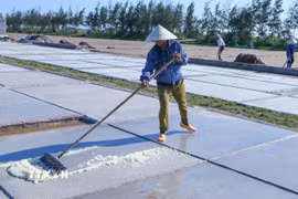 Diêm dân thu gom muối trên sân phơi. (Ảnh: Công Luật/TTXVN)