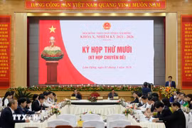 Kỳ họp thứ 10 (Kỳ họp chuyên đề) Hội đồng Nhân dân tỉnh Lâm Đồng. (Ảnh minh họa: Nguyễn Dũng/TTXVN)
