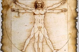 Bức họa “The Vitruvian Man” 