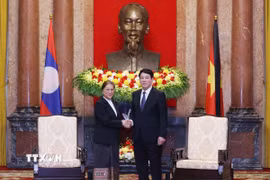 Chủ tịch nước Lương Cường tiếp Phó Chủ tịch nước Lào Pany Yathotou. (Ảnh: Lâm Khánh/TTXVN)