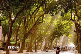 Hà Nội mỗi mùa đều mang một vẻ đẹp riêng, nhưng có lẽ mùa Thu là mùa khiến lòng người say đắm, xao xuyến hơn cả. (Ảnh: Khánh Hoà/TTXVN)