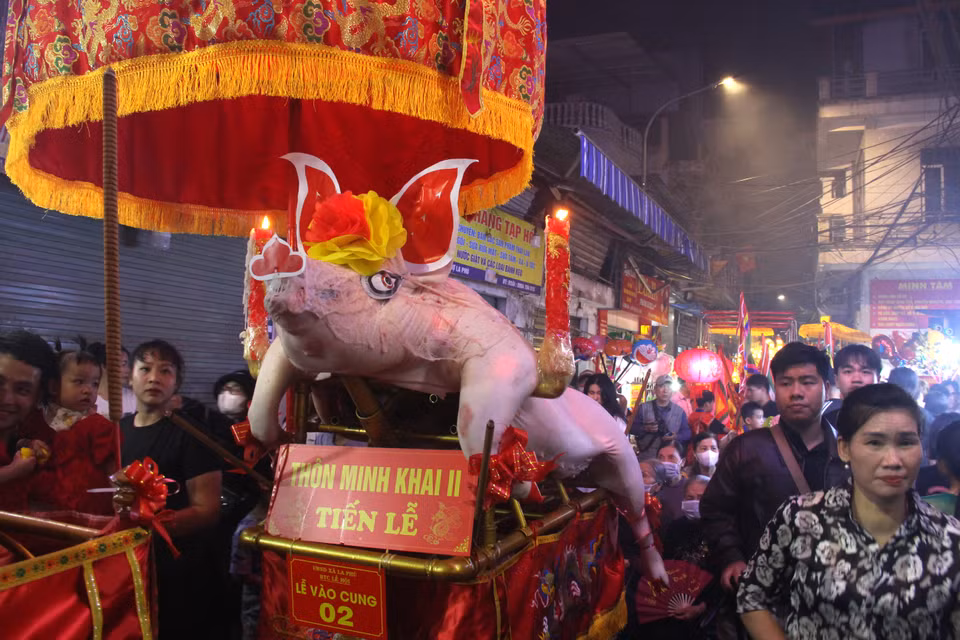 Chiều tối ngày 13 tháng Giêng hàng năm, người dân làng La Phù lại tất bật trang trí, đưa rước các "ông lợn" đến đình làng để tưởng nhớ công ơn của Đức thành hoàng làng Tĩnh Quốc Tam Lang. (Ảnh: Hồng Ngọc/Vietnam+)