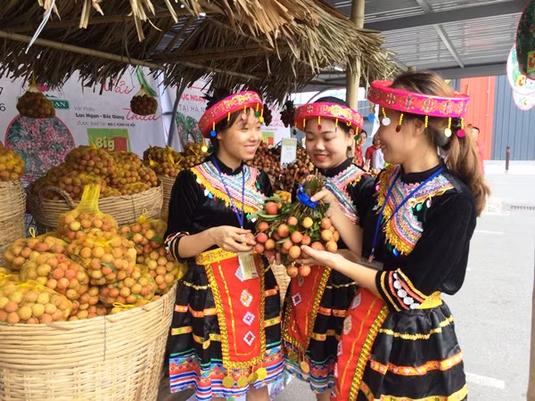 Vải thiều Lục Ngạn là một trong những loại vải ngon nhất, có độ ngọt thanh, vỏ đỏ khi chín tới, cùi dày và hạt nhỏ. (Ảnh: Thanh Tâm/Vietnam+)