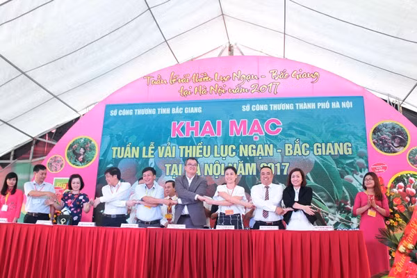 Các đơn vị đầu mối ký cam kết tiêu thụ sản phẩm vải thiều Lục Ngạn tại buổi khai mạc Tuần lễ vải thiều Lục Ngạn năm 2017. (Ảnh: Thanh Tâm/Vietnam+)./.