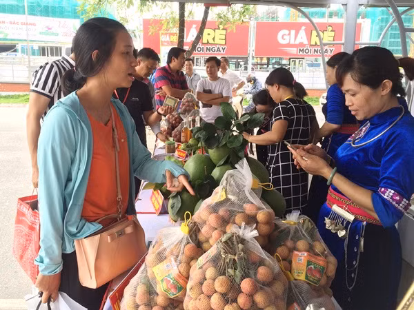 Tuần lễ vải thiều thu hút đông đảo người chọn mua.(Ảnh: Thanh Tâm/Vietnam+)