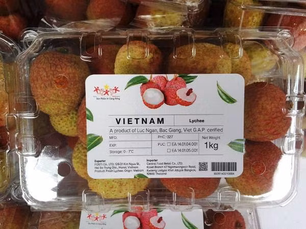 Vải thiều Lục Ngạn được đóng hộp với đủ thông tin: chứng nhận Viet GAP, mã vạch truy xuất nguồn gốc, chỉ dẫn địa lý, in logo nhãn mác bắt mắt... Sản phẩm này sẽ lần đầu tiên được xuất khẩu sang Thái Lan vào cuối tháng Sáu này. (Ảnh: Thanh Tâm/Vietnam+) 
