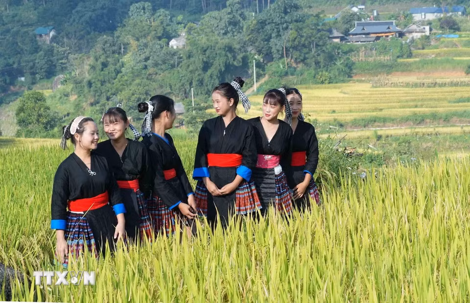 Vẻ đẹp của thiếu nữ Mông tại Ngày hội “Mùa vàng Tả Lèng - Hương lúa giữa non cao”. (Ảnh: Nguyễn Oanh/TTXVN).