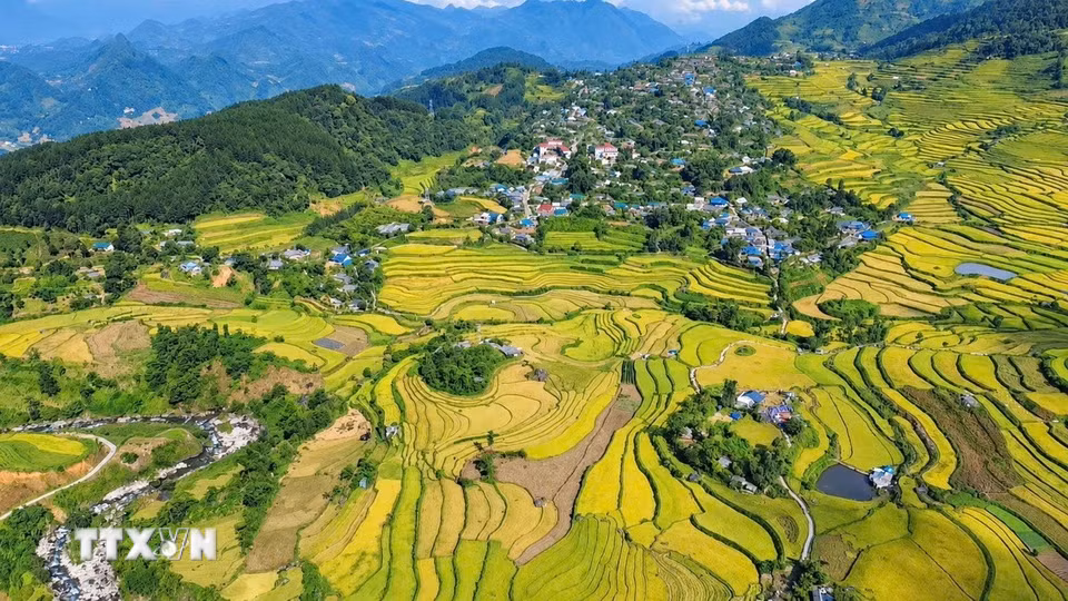 Khung cảnh ruộng bậc thang Tả Lèng, xã Tả Lèng, Lai Châu vào mùa lúa chín. (Ảnh: Nguyễn Oanh/TTXVN).