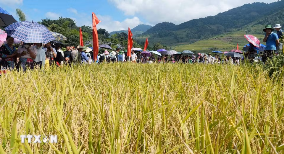 Đông đảo người dân và du khách tham gia ngày hội. (Ảnh: Nguyễn Oanh/TTXVN).