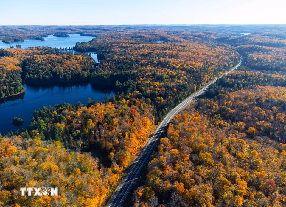 Cảnh đẹp mùa Thu ở Ontario, Canada. (Ảnh: THX/TTXVN phát)