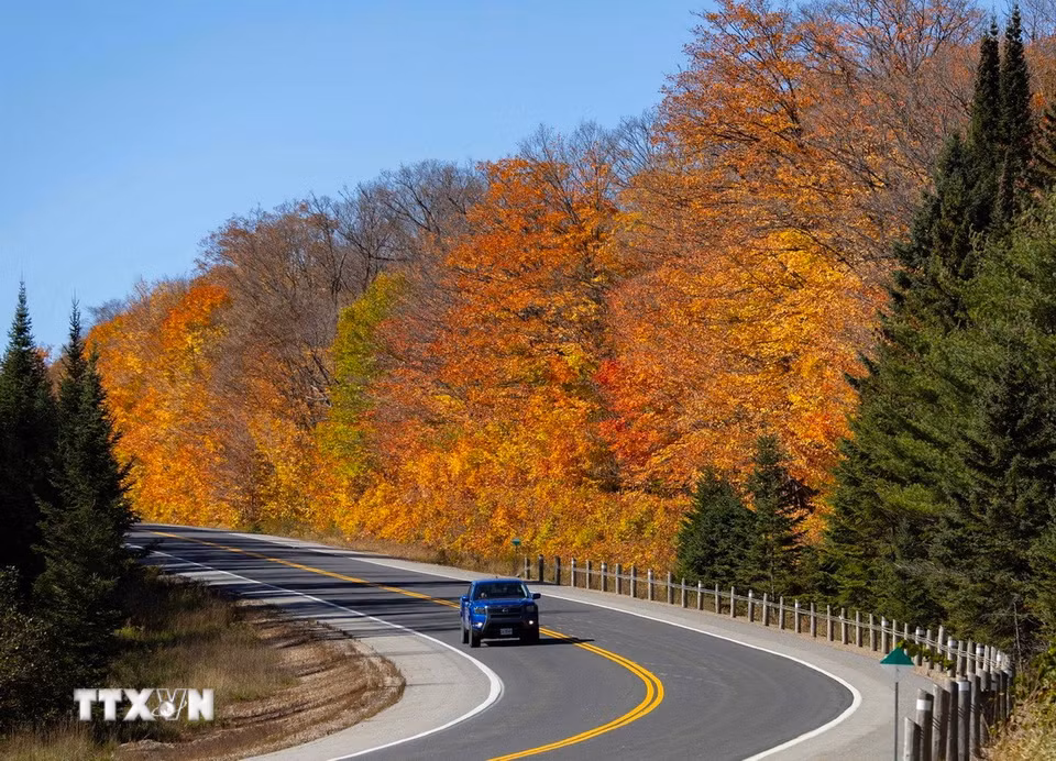Cảnh đẹp mùa Thu ở Ontario, Canada. (Ảnh: THX/TTXVN phát)