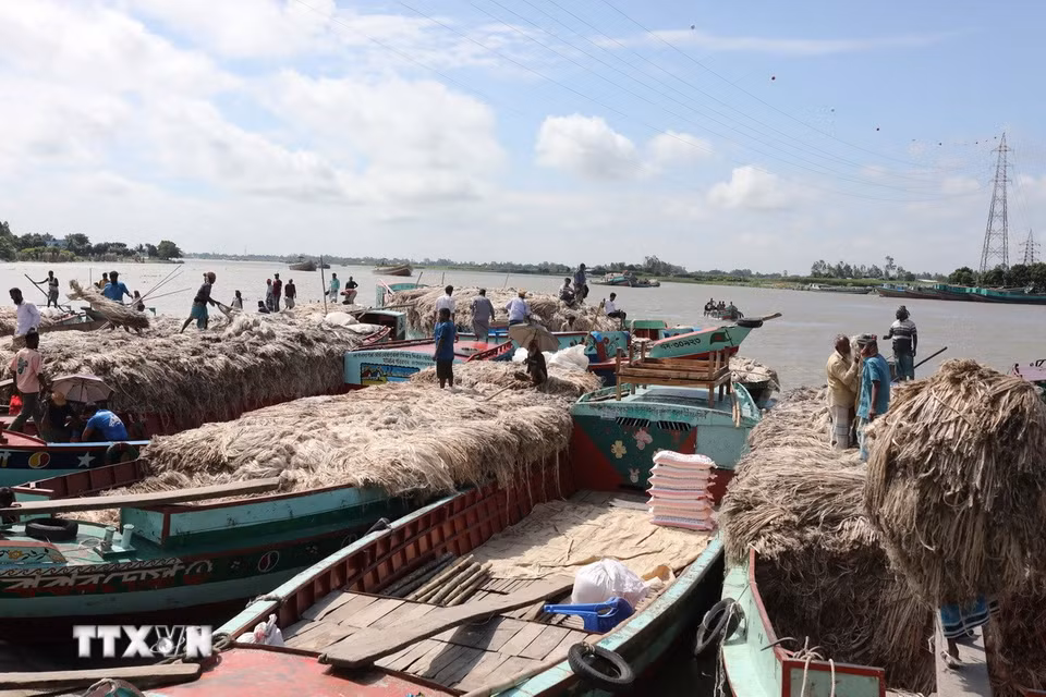 Người dân mua bán đay tại chợ nổi ở Munshiganj, Bangladesh, ngày 14/8/2026. (Ảnh: THX/TTXVN phát)