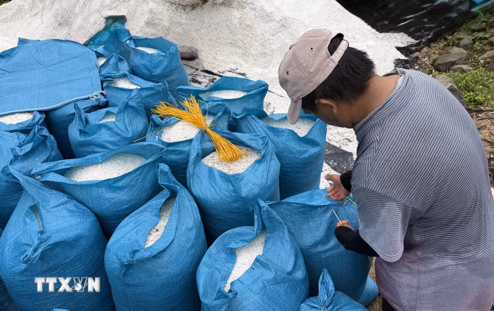 Đóng muối hạt vào bao để mang đi tiêu thụ. (Ảnh: Tường Quân/TTXVN)