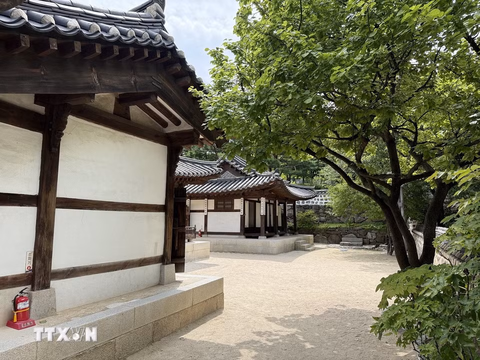 Một góc Làng Hanok Namsangol với những ngôi nhà Hanok mang đậm nét kiến trúc truyền thống của Hàn Quốc giữa không gian xanh tại thủ đô Seoul. (Ảnh: Nhật Hưng/TTXVN)