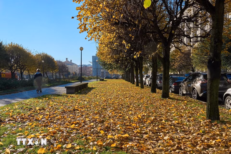 Cảnh đẹp mùa Thu tại St. Petersburg, Nga, ngày 14/10/2026. (Ảnh: THX/TTXVN phát)