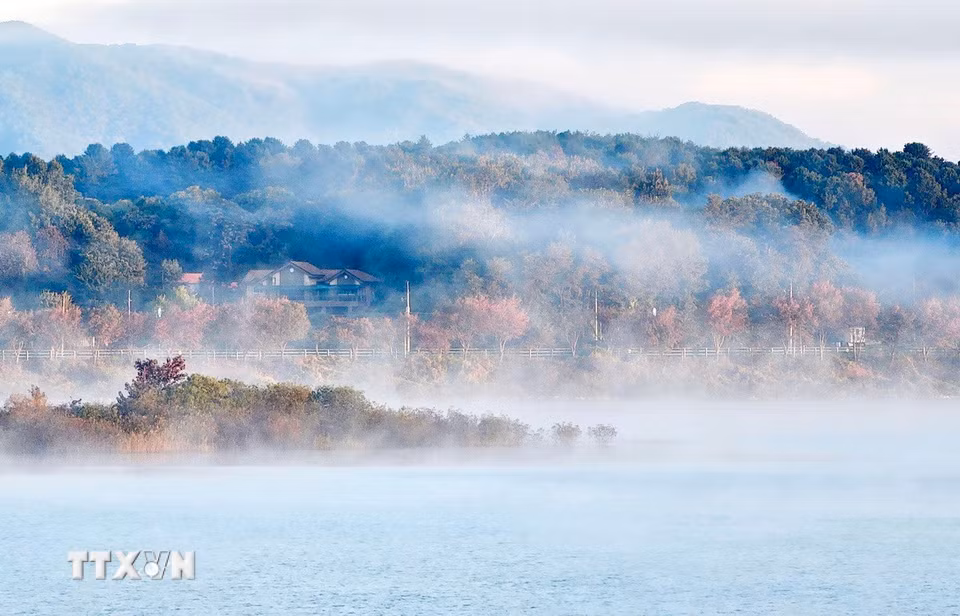 Cảnh đẹp mùa Thu ở tỉnh Gangwon, Hàn Quốc. (Ảnh: YONHAP/TTXVN phát)