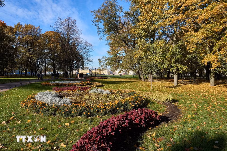 Cảnh đẹp mùa Thu tại St. Petersburg, Nga, ngày 14/10/2026. (Ảnh: THX/TTXVN phát)