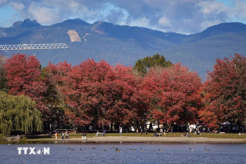 Cảnh đẹp mùa Thu ở Vancouver, British Columbia, Canada. (Ảnh: THX/TTXVN phát)