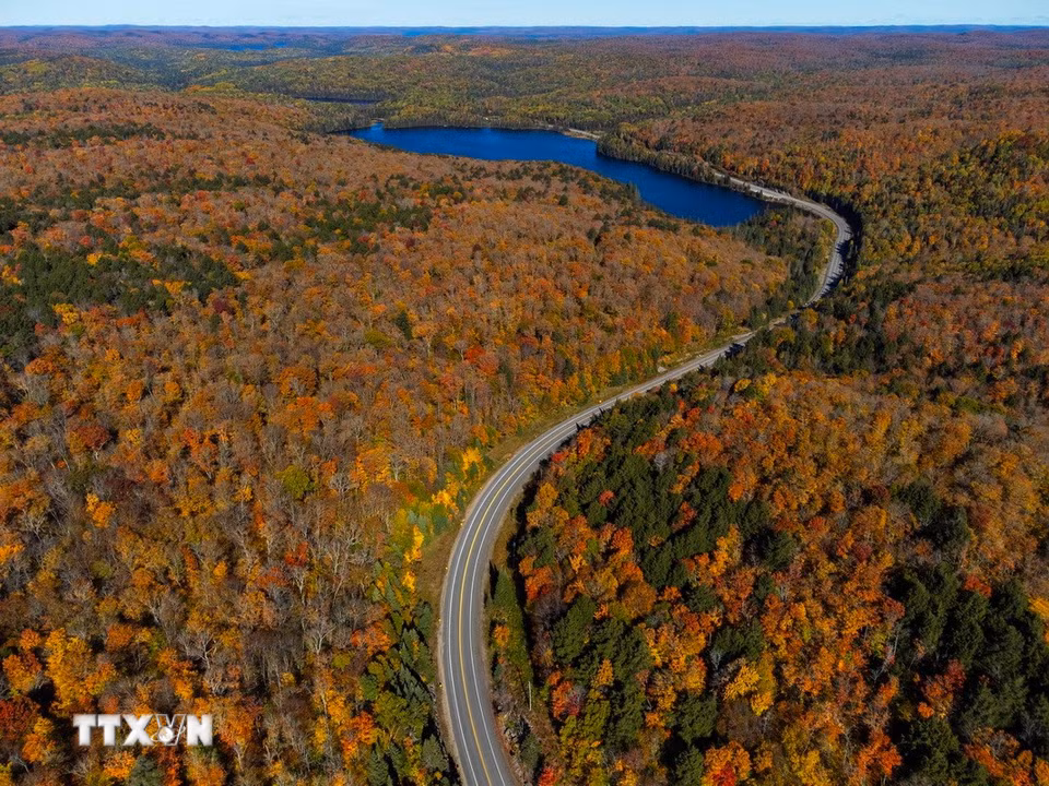 Cảnh đẹp mùa Thu ở Ontario, Canada. (Ảnh: THX/TTXVN phát)