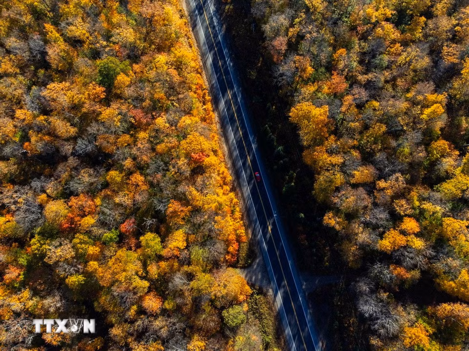 Cảnh đẹp mùa Thu ở Ontario, Canada. (Ảnh: THX/TTXVN phát)