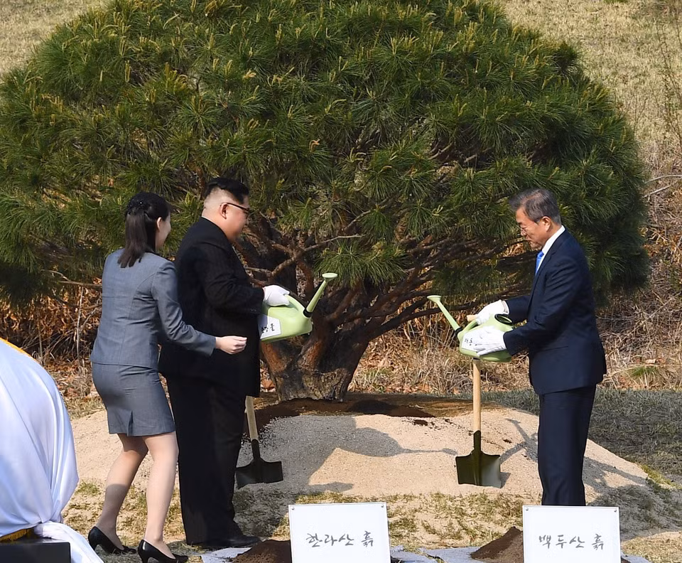 Tổng thống Hàn Quốc Moon Jae-in và nhà lãnh đạo Triều Tiên Kim Jong-un cùng tưới nước cho cây thông hòa bình tại làng đình chiến Panmunjom ngày 27/4. (Nguồn: Yonhap/TTXVN)