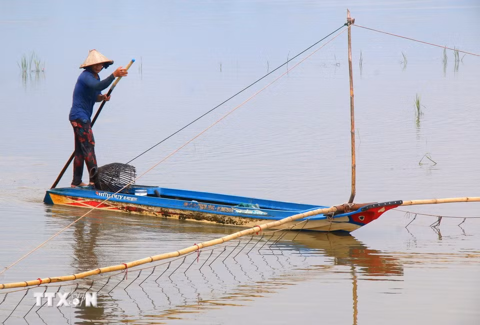 Cánh động ngập lũ tại xã Vị Thủy, thành phố Cần Thơ. (Ảnh: Duy Khương/TTXVN)