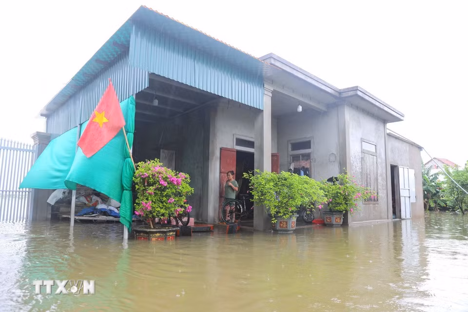 Nước lũ dâng cao, tràn vào sân và gây cô lập tạm thời nhiều nhà dân tại thôn 1, xã Quỳnh Lưu, tỉnh Nghệ An. (Ảnh: Xuân Tiến/TTXVN)