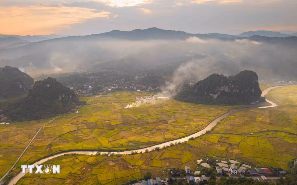 Những làn khói bốc lên giữa cánh đồng lúa trong ánh chiều tạo điểm nhấn cho bức tranh mùa vàng ở Chiềng Sinh. (Ảnh: Xuân Tư/TTXVN)