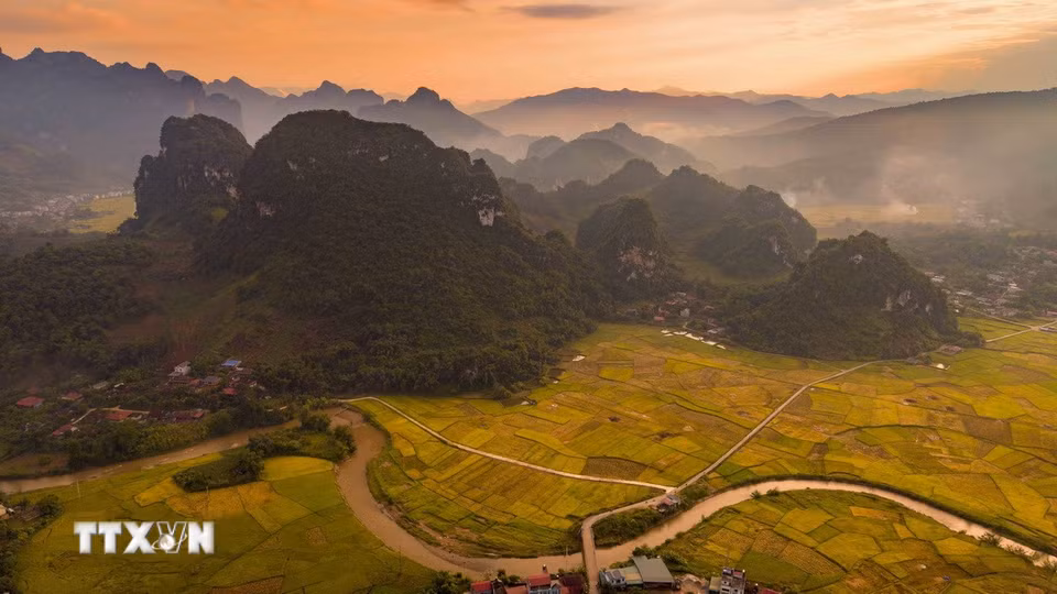 Sắc vàng của lúa chín phủ rộng trên những cánh đồng nằm giữa các dãy núi, tạo nên vẻ đẹp đặc trưng của thung lũng Chiềng Sinh. (Ảnh: Xuân Tư/TTXVN)
