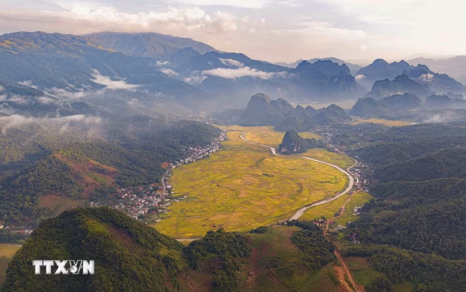 Sắc vàng của lúa chín phủ rộng trên những cánh đồng nằm giữa các dãy núi, tạo nên vẻ đẹp đặc trưng của thung lũng Chiềng Sinh. (Ảnh: Xuân Tư/TTXVN)