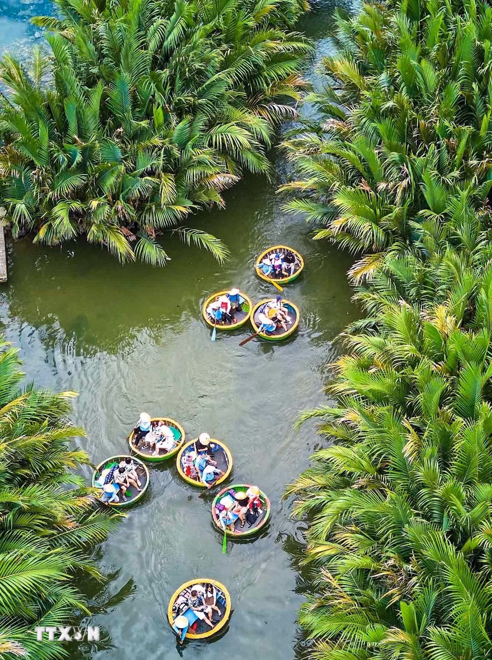 Những chiếc thuyền thúng len lỏi giữa rừng dừa nước, đưa du khách khám phá vẻ đẹp xanh mát của vùng sông nước và trải nghiệm nét văn hóa bản địa. Hình thức du lịch độc đáo này góp phần tạo nên sức hút riêng cho Rừng dừa Bảy Mẫu. (Ảnh: Khánh Hòa/TTXVN)
