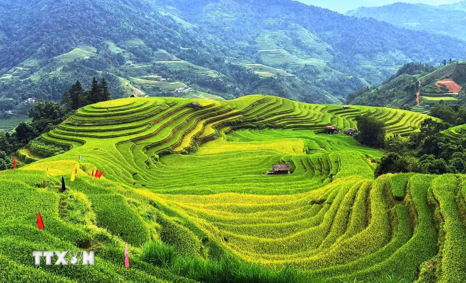 Sắc lúa vàng xanh đan xen, dệt nên bức tranh thu nơi miền núi. (Ảnh: Minh Tâm/TTXVN)