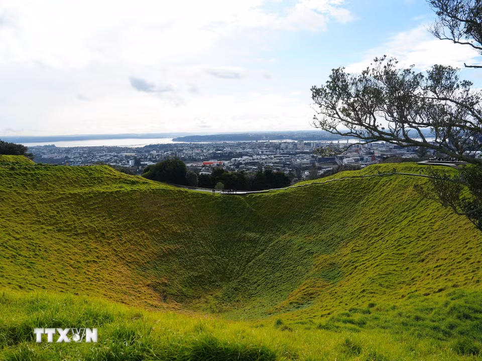 Mount Eden (tên gọi tiếng Māori: Maungawhau, nghĩa là ngọn núi của cây whau - cây gỗ đặc hữu siêu nhẹ của New Zealand) là đỉnh núi tự nhiên cao nhất trên đất liền thuộc vùng Auckland với độ cao 196m so với mực nước biển. Đây là ngọn núi lửa đã ngưng hoạt động khoảng 28.000 năm trước, nổi bật với lòng chảo miệng núi lửa sâu 50m phủ đầy thảm cỏ xanh mướt - một địa điểm thiêng liêng mang giá trị lịch sử và tâm linh đặc biệt đối với người Māori. (Ảnh: Lê Đạt/TTXVN)