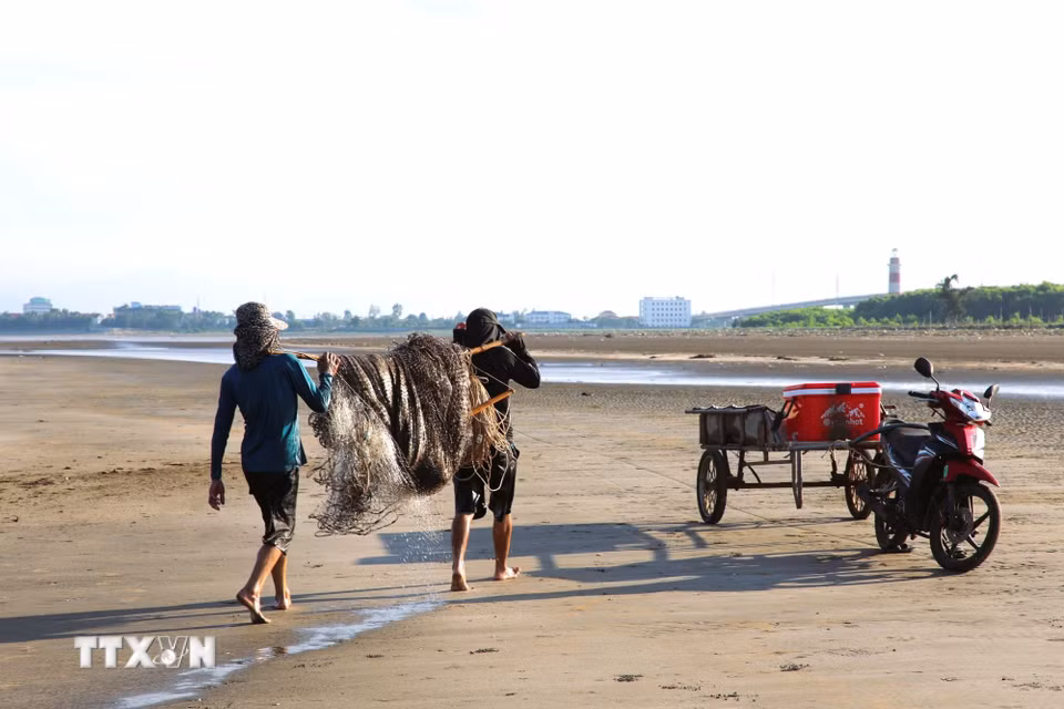 Những bãi triều rộng, mực nước không quá sâu, ít rác, có sóng nhỏ sẽ được ngư dân lựa chọn tìm đến để hoạt động kéo lưới rùng. (Ảnh: Xuân Tiến/TTXVN)