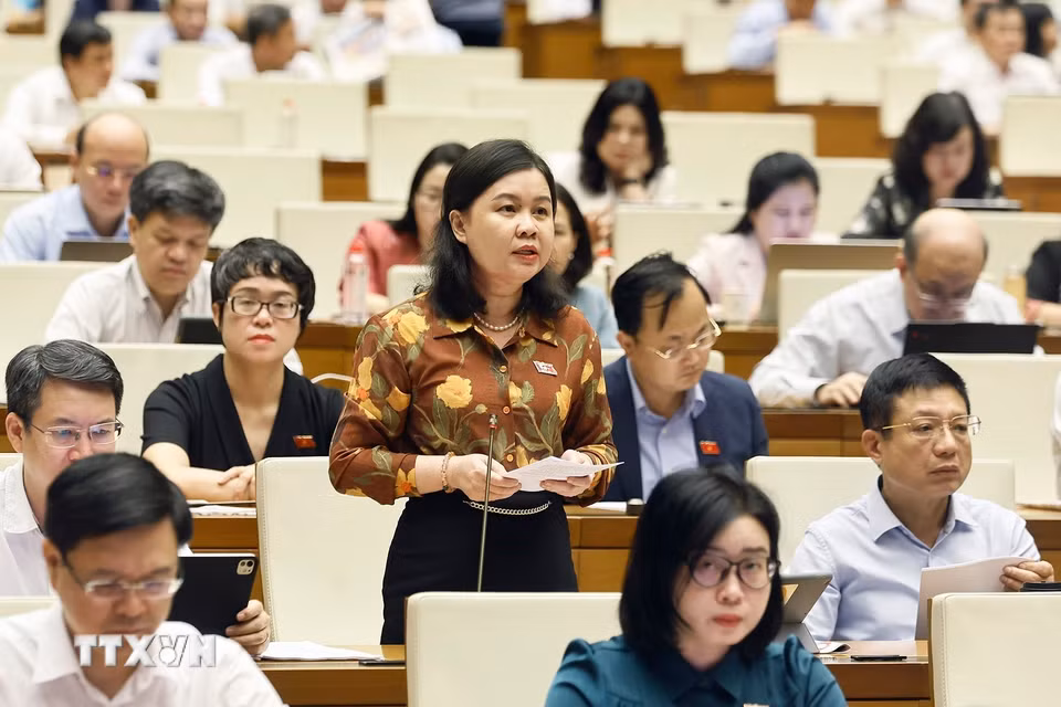 Đại biểu Quốc hội thành phố Hà Nội Nguyễn Phương Thủy phát biểu. (Ảnh: Doãn Tấn/TTXVN)