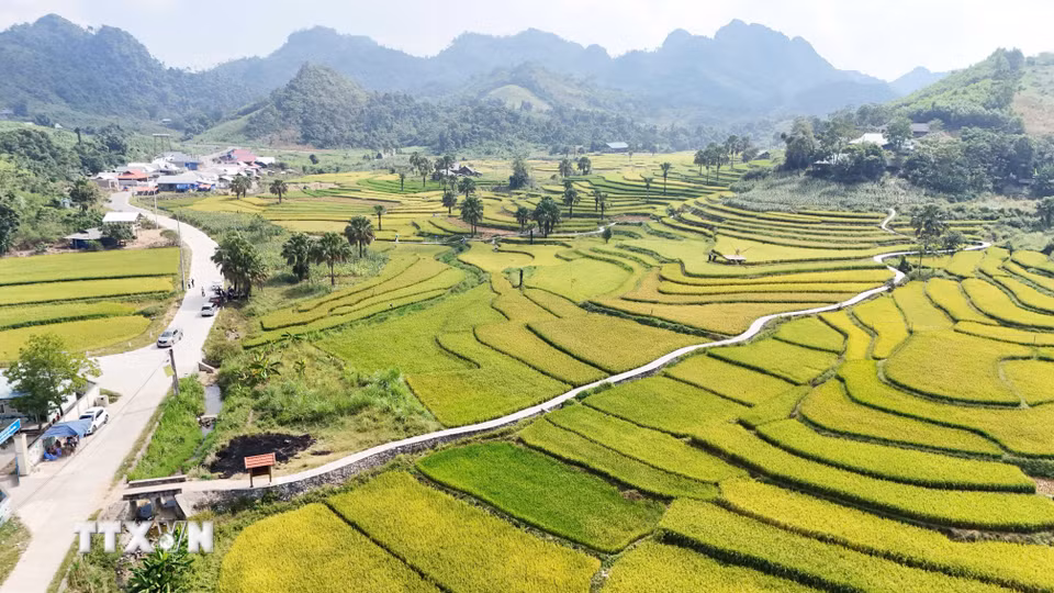 Một góc Bản Tèn vào mùa lúa chín. (Ảnh: Hoàng Nguyên/TTXVN)