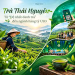 Trà Thái Nguyên: Từ "Đệ nhất danh trà" đến ngành hàng tỷ USD 