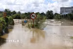Lâm Đồng: Mưa lớn gây ngập cục bộ nhiều khu vực, nhất là diện tích nông nghiệp