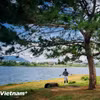 Vẻ đẹp biển hồ Pleiku, Gia Lai. (Ảnh: Vương Công Nam/Vietnam+)