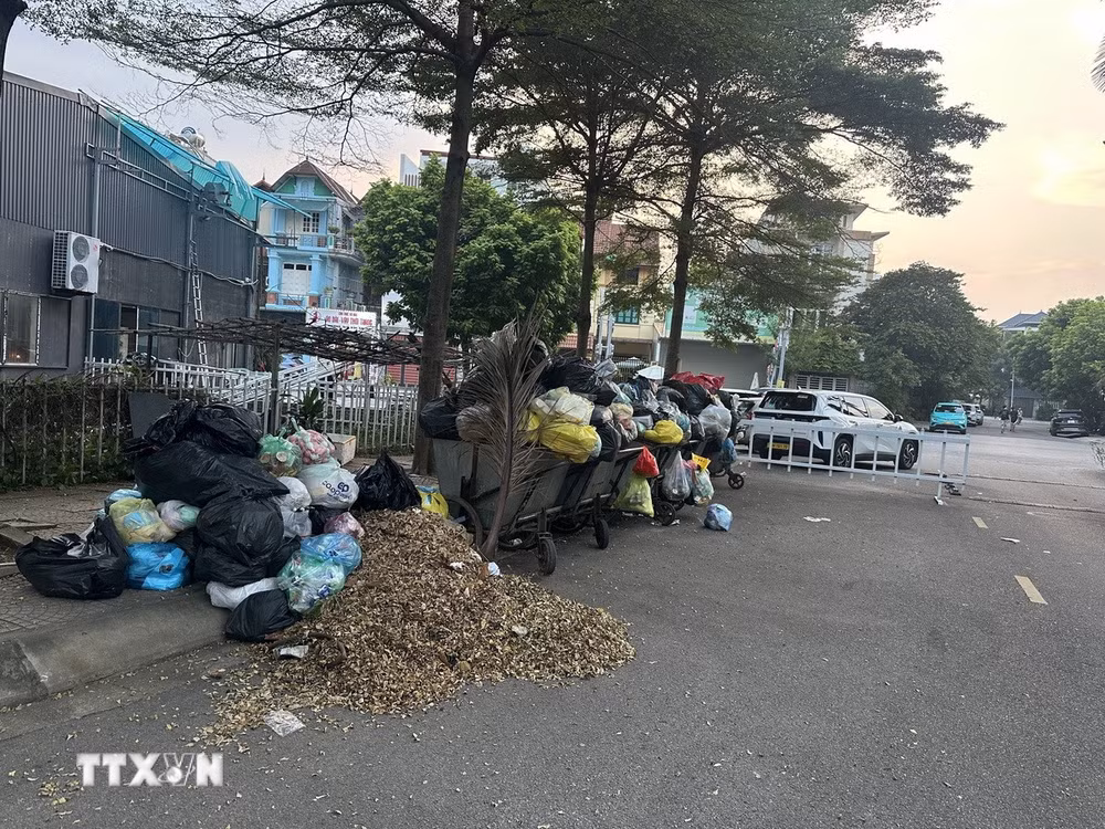 ttxvn-rac-thgai-phu-tho-1.jpg