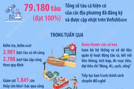 Phải thực hiện mục tiêu kép chống khai thác IUU và phát triển nghề cá bền vững