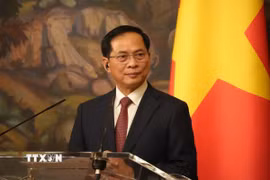 Phó Thủ tướng Bùi Thanh Sơn. (Ảnh: Quang Vinh/TTXVN)