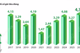 CPI bình quân 6 tháng năm 2026 tăng 4,38%