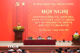Quang cảnh hội nghị. (Ảnh: Nguyễn Oanh/TTXVN)